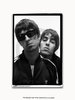 Oasis Liam and Noel A1 rock poster
