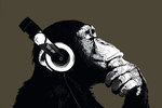 Monkey Business - Chimps Headphones - H - Maxi Paper Poster