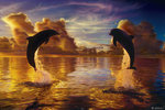 Lassen, Celestial Harmony Dolphins - Maxi Paper Poster