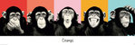 The Chimp, Pop Art Monkey Faces - Door Paper Poster