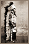 Chief White Cloud Speaks Standing Maxi Paper Poster