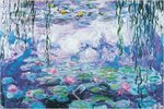 Claude Monet - Nympheas VI - Maxi Paper Poster