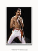 Freddy Mercury Los Angeles 1982 A1 Poster